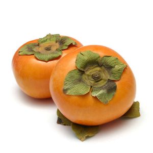 Lam malesuada at